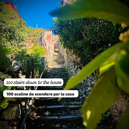 Casa Olive 53 Mare 度假居