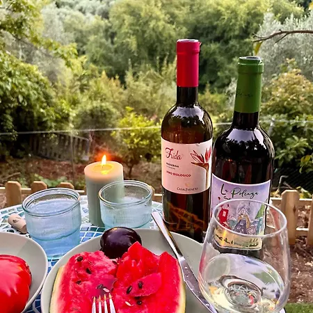 Hébergement de vacances Casa Olive 53 Mare