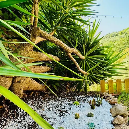 Casa Olive 53 Mare בית נופש לה ספציה