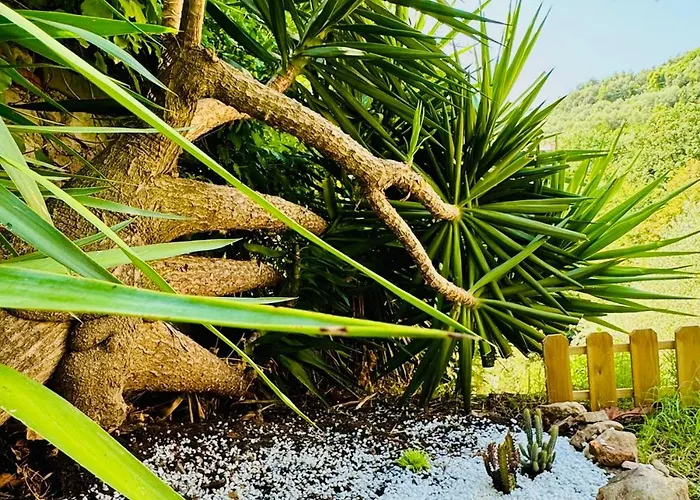 Casa Olive 53 Mare Σπίτι διακοπών Λα Σπέτσια